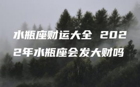 水瓶座财运大全 2022年水瓶座会发大财吗