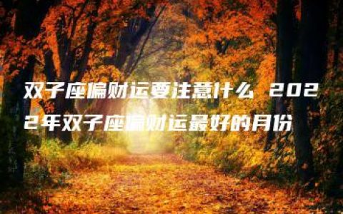 双子座偏财运要注意什么 2022年双子座偏财运最好的月份