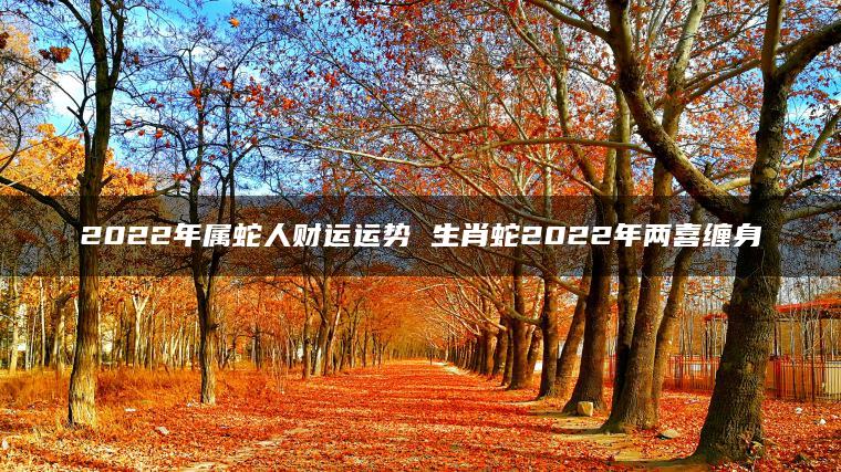 2022年属蛇人财运运势 生肖蛇2022年两喜缠身