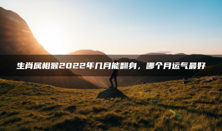 生肖属相猴2022年几月能翻身，哪个月运气最好