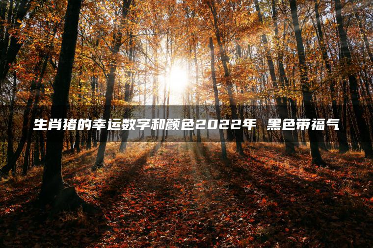 生肖猪的幸运数字和颜色2022年 黑色带福气