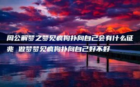 周公解梦之梦见疯狗扑向自己会有什么征兆 做梦梦见疯狗扑向自己好不好