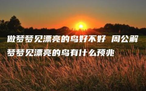 做梦梦见漂亮的鸟好不好 周公解梦梦见漂亮的鸟有什么预兆