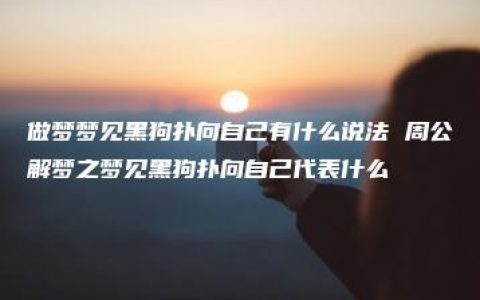 做梦梦见黑狗扑向自己有什么说法 周公解梦之梦见黑狗扑向自己代表什么