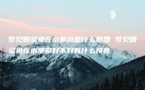 梦见很多鱼在水里游是什么意思 梦见很多鱼在水里游好不好有什么预兆