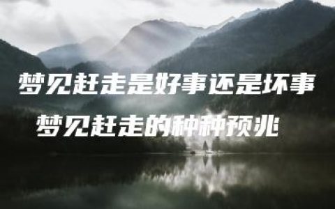 梦见赶走是好事还是坏事 梦见赶走的种种预兆