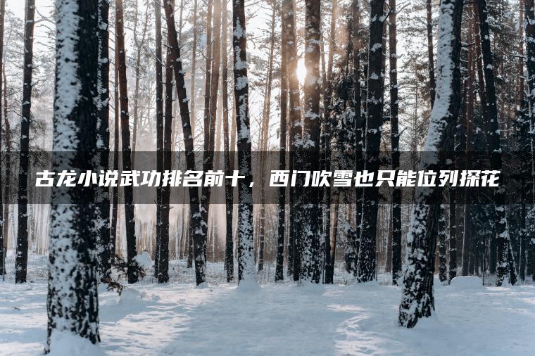 古龙小说武功排名前十，西门吹雪也只能位列探花