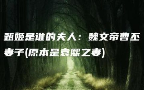 甄姬是谁的夫人：魏文帝曹丕妻子(原本是袁熙之妻)