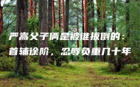 严嵩父子俩是被谁扳倒的：首辅徐阶，忍辱负重几十年