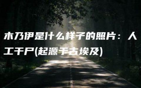 木乃伊是什么样子的照片：人工干尸(起源于古埃及)