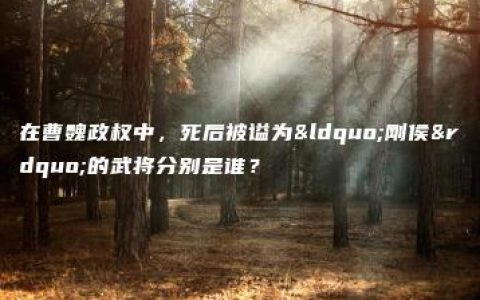 在曹魏政权中，死后被谥为“刚侯”的武将分别是谁？