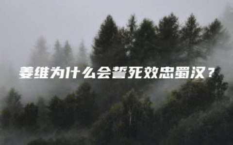 姜维为什么会誓死效忠蜀汉？