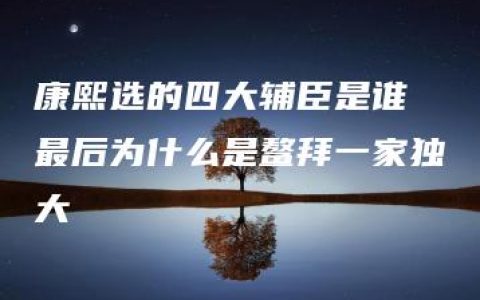 康熙选的四大辅臣是谁 最后为什么是鳌拜一家独大