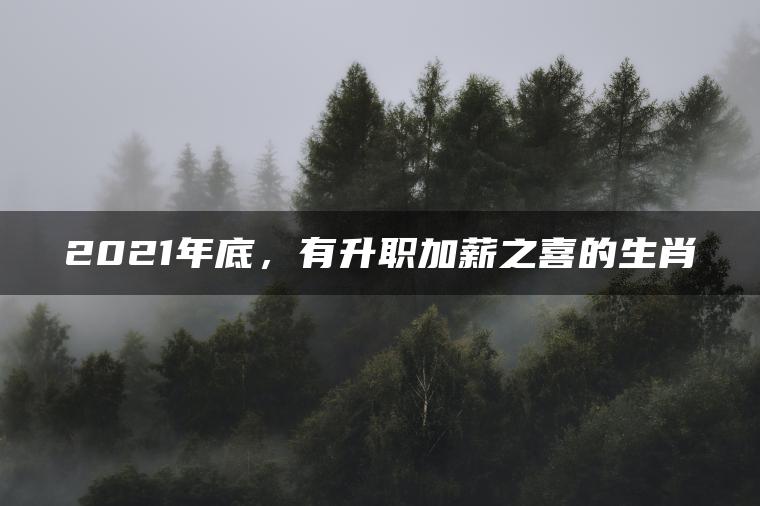 2021年底，有升职加薪之喜的生肖