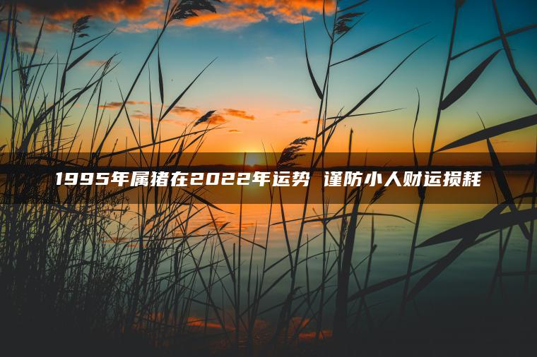 1995年属猪在2022年运势 谨防小人财运损耗