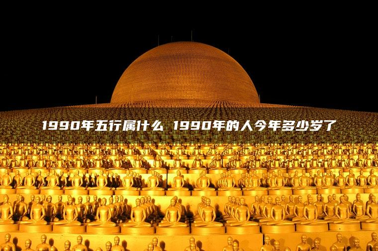 1990年五行属什么 1990年的人今年多少岁了