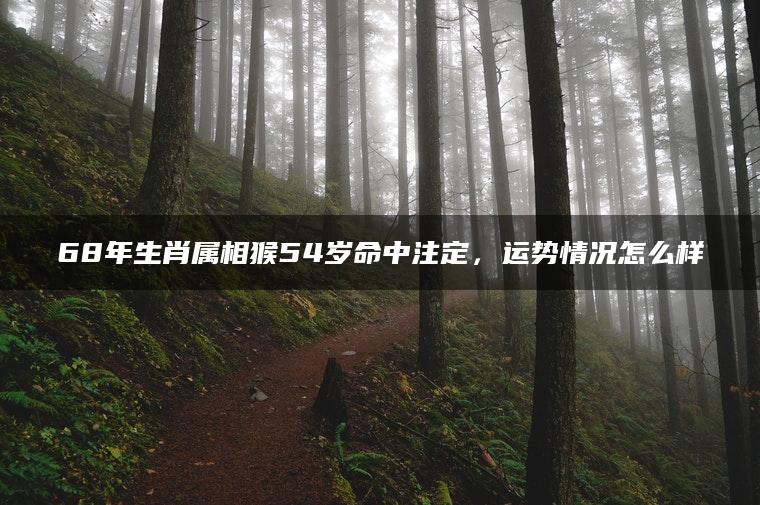 68年生肖属相猴54岁命中注定，运势情况怎么样