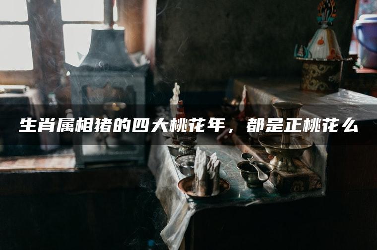 生肖属相猪的四大桃花年，都是正桃花么