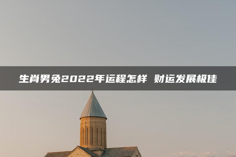 生肖男兔2022年运程怎样 财运发展极佳