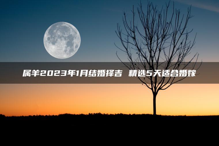 属羊2023年1月结婚择吉 精选5天适合婚嫁