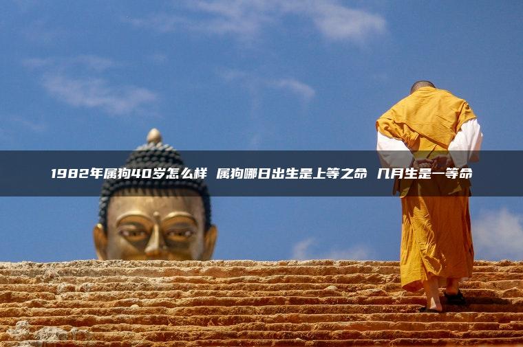 1982年属狗40岁怎么样 属狗哪日出生是上等之命 几月生是一等命