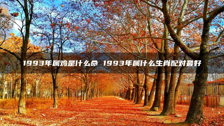 1993年属鸡是什么命 1993年属什么生肖配对最好