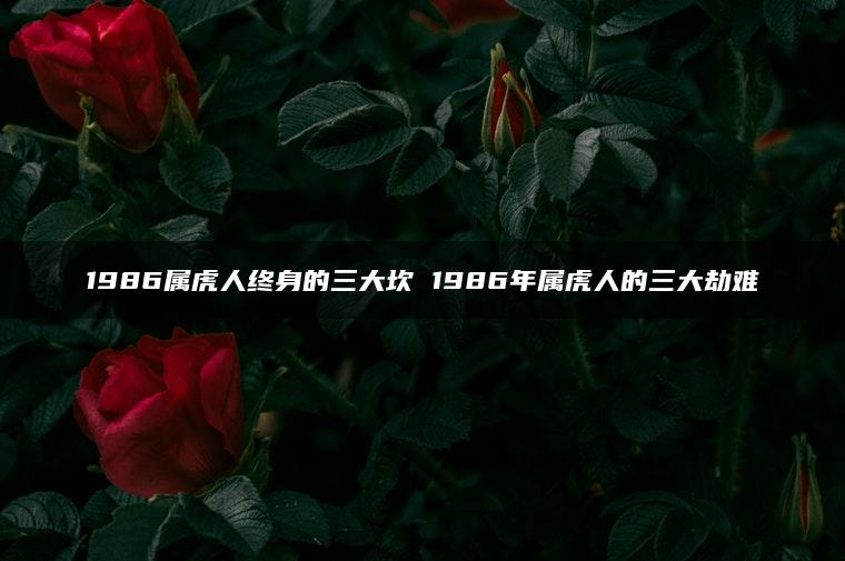 1986属虎人终身的三大坎 1986年属虎人的三大劫难