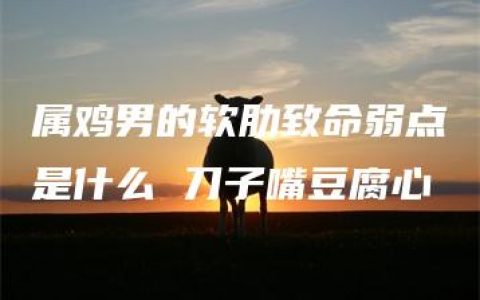 属鸡男的软肋致命弱点是什么 刀子嘴豆腐心