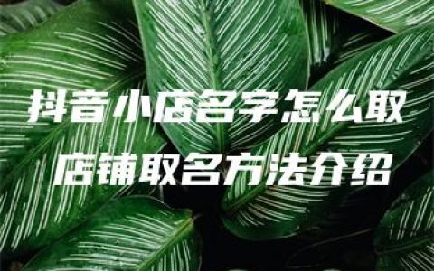 抖音小店名字怎么取 店铺取名方法介绍