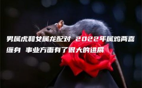 男属虎和女属龙配对 2022年属鸡两喜缠身 事业方面有了很大的进展