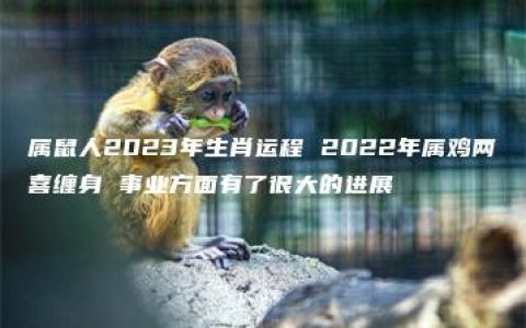 属鼠人2023年生肖运程 2022年属鸡两喜缠身 事业方面有了很大的进展