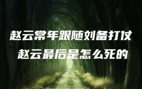 赵云常年跟随刘备打仗 赵云最后是怎么死的