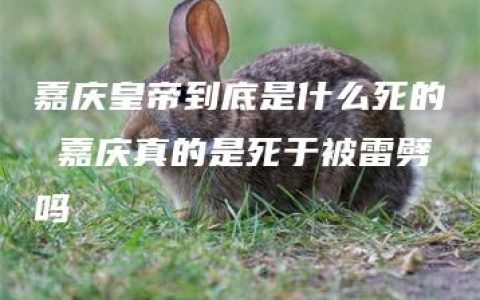 嘉庆皇帝到底是什么死的 嘉庆真的是死于被雷劈吗