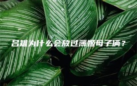 吕雉为什么会放过薄姬母子俩？