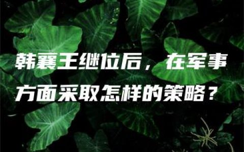 韩襄王继位后，在军事方面采取怎样的策略？