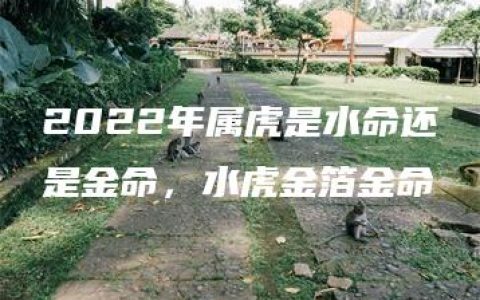 2022年属虎是水命还是金命，水虎金箔金命