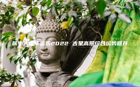 属牛人虎年运势2022 吉星高照综合运势回升