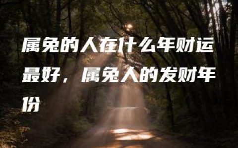 属兔的人在什么年财运最好，属兔人的发财年份