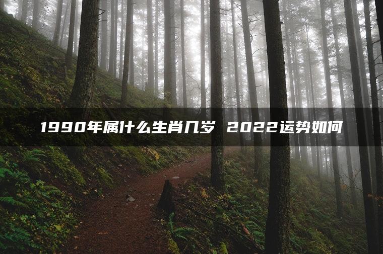 1990年属什么生肖几岁 2022运势如何