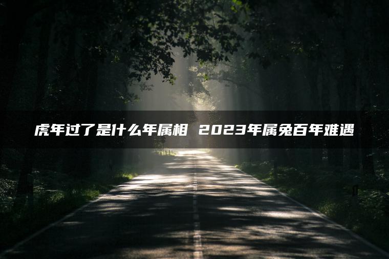 虎年过了是什么年属相 2023年属兔百年难遇