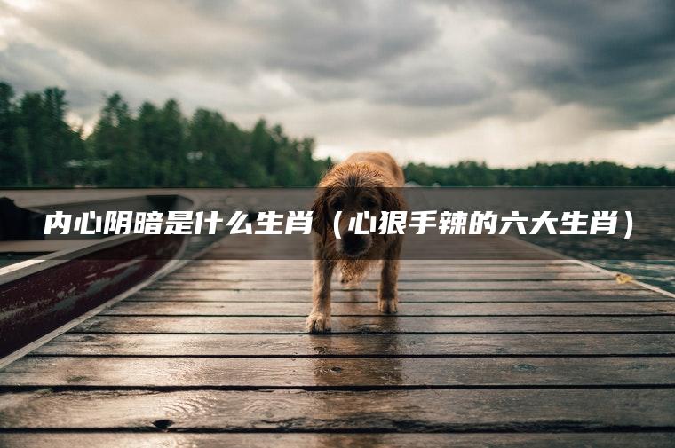 内心阴暗是什么生肖（心狠手辣的六大生肖）