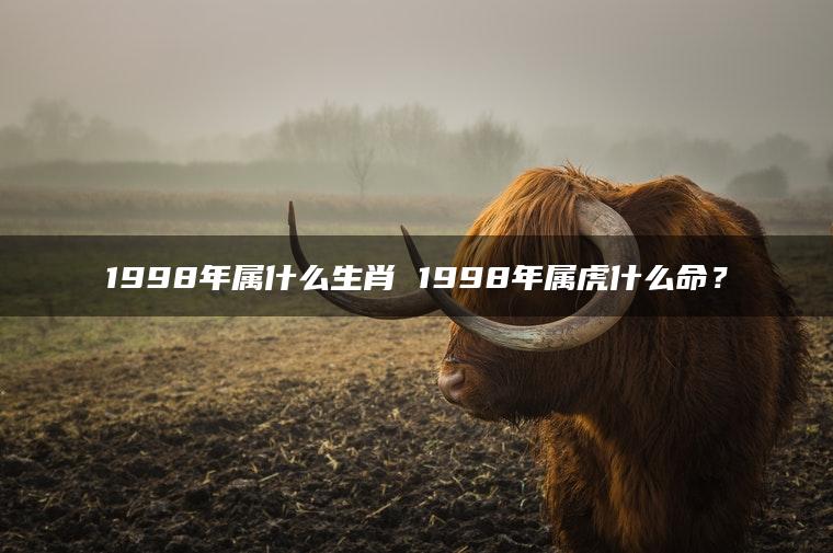 1998年属什么生肖 1998年属虎什么命？