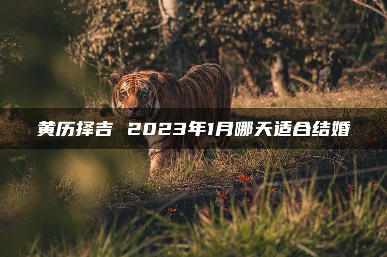 黄历择吉 2023年1月哪天适合结婚