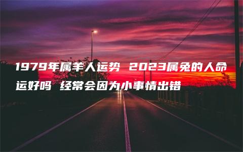 1979年属羊人运势 2023属兔的人命运好吗 经常会因为小事情出错