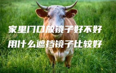 家里门口放镜子好不好 用什么遮挡镜子比较好