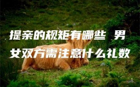 提亲的规矩有哪些 男女双方需注意什么礼数