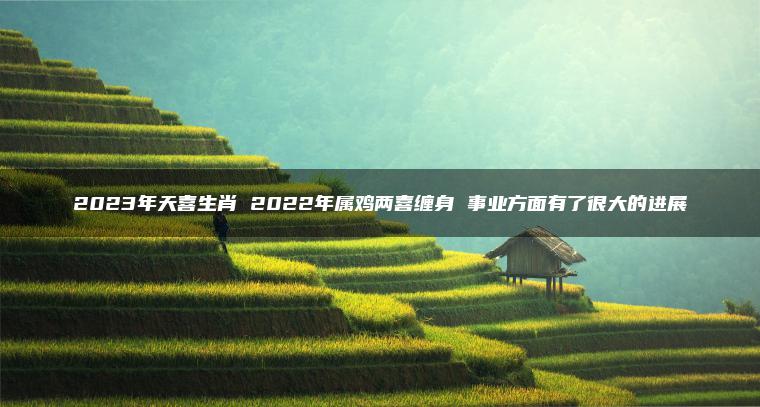 2023年天喜生肖 2022年属鸡两喜缠身 事业方面有了很大的进展