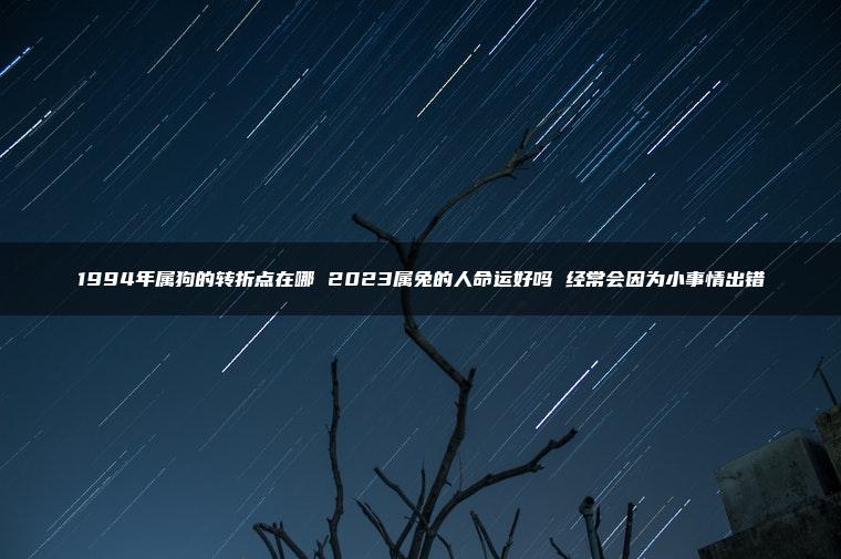 1994年属狗的转折点在哪 2023属兔的人命运好吗 经常会因为小事情出错