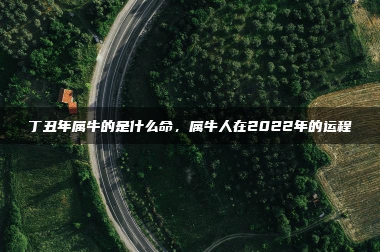 丁丑年属牛的是什么命，属牛人在2022年的运程