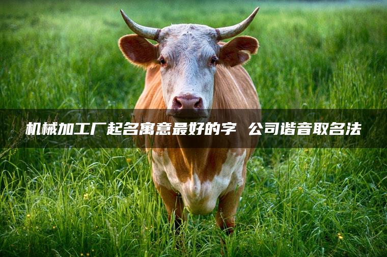 机械加工厂起名寓意最好的字 公司谐音取名法